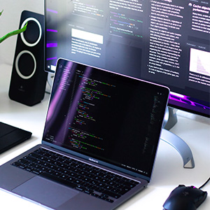 Web Development
